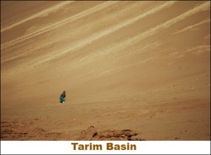 tarim basin