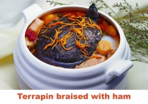 Terrapin braised with ham 